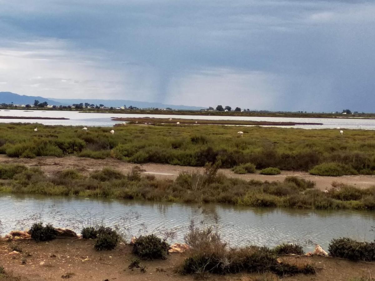 Apartamento Gelum Delta Del Ebro Сан-Жауме-де-Энвежа Экстерьер фото