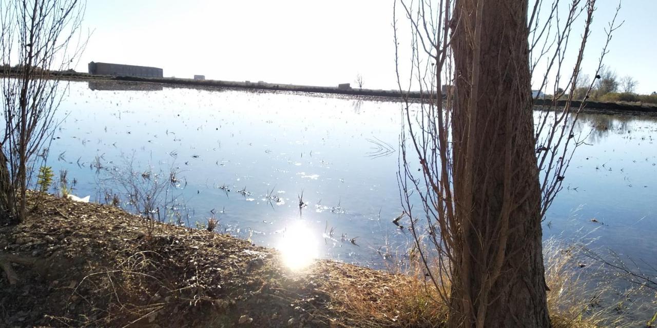 Apartamento Gelum Delta Del Ebro Сан-Жауме-де-Энвежа Экстерьер фото